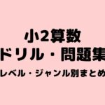 陰山メソッド１００マス計算 勉強が苦手な小学生男子の家庭学習の取り組み