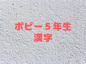 小学5年ポピー国語 漢字学習に最適な教材になっている